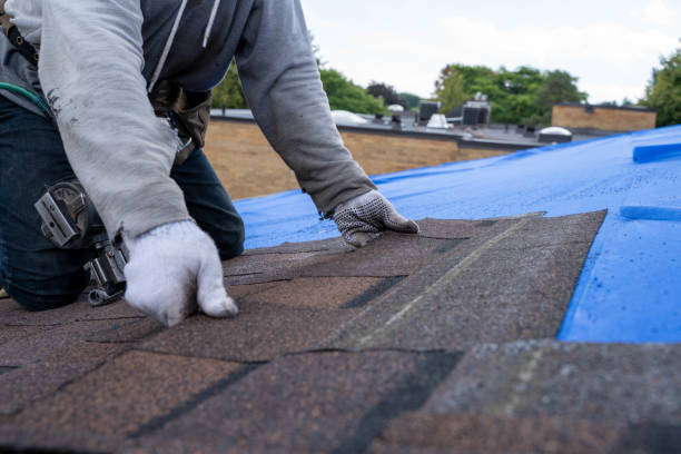 Best Flat Roof Repair Services  in Omao, HI