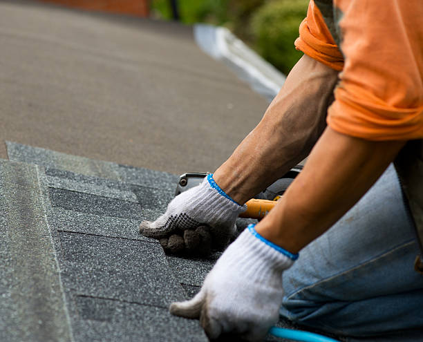 Best Storm Damage Roof Repair  in Omao, HI