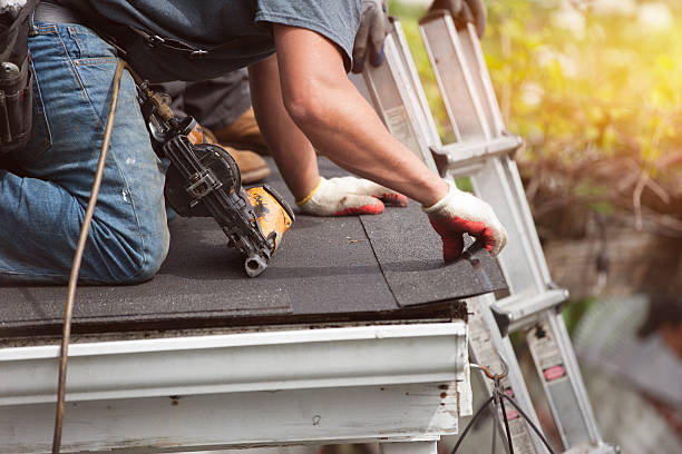Best Roof Gutter Cleaning  in Omao, HI