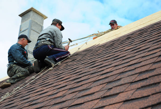 Best Commercial Roofing Services  in Omao, HI